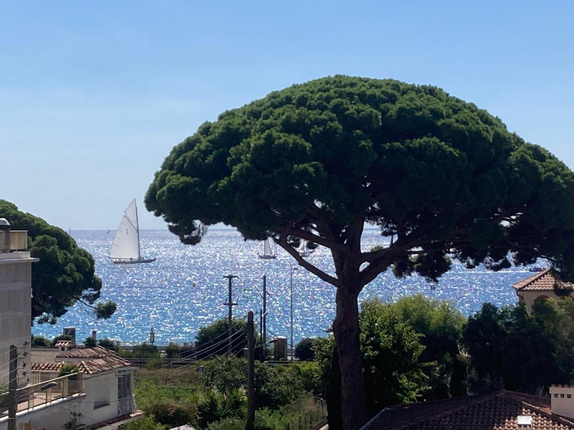 Chambre Parentale , Salle De Bain Privee, Acces Plages & Vue Mer Du Salon Dans Appartement Partage Chez L'Habitant ,, Master Bedroom, Private Bathroom, Beach Access & Sea View 戛纳 外观 照片