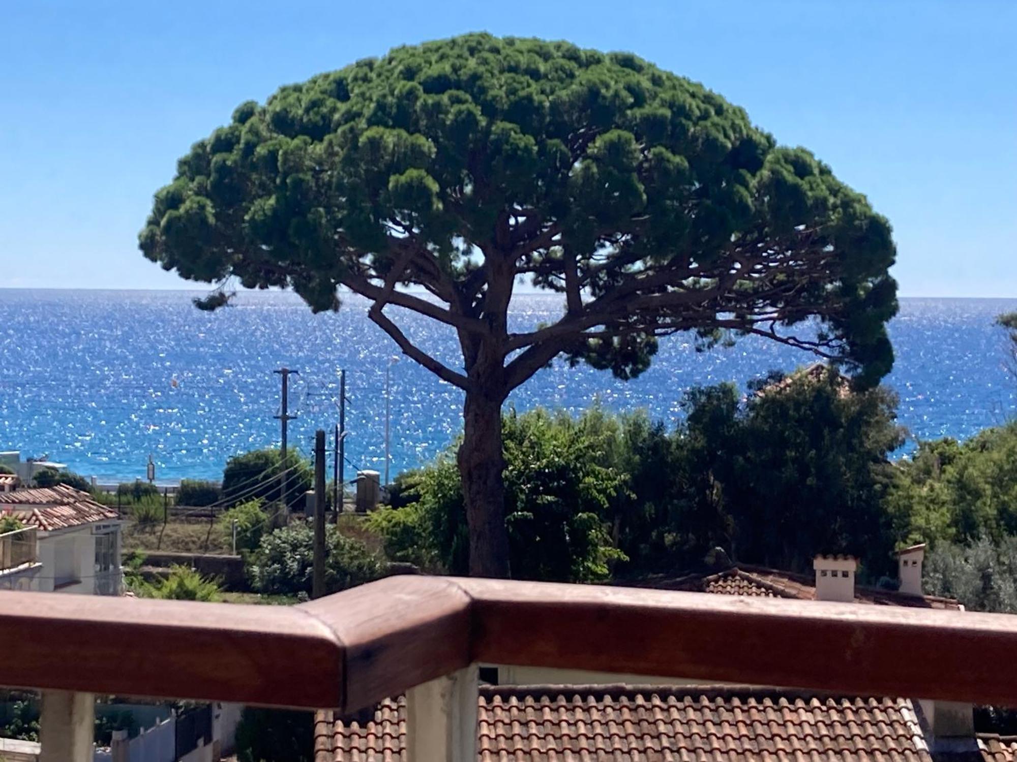 Chambre Parentale , Salle De Bain Privee, Acces Plages & Vue Mer Du Salon Dans Appartement Partage Chez L'Habitant ,, Master Bedroom, Private Bathroom, Beach Access & Sea View 戛纳 外观 照片
